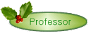 Professor